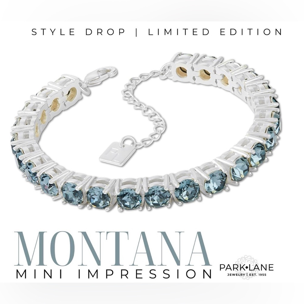 Park Lane Limited Edition “Montana” Mini Impression Bracelet